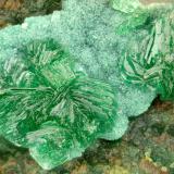 Philipsburgite<br />Gold Hill Mine, Gold Hill, Gold Hill District, Tooele County, Utah, USA<br />FOV = 1.9 mm<br /> (Author: Doug)