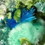 Connellite<br />Gold Hill Mine, Gold Hill, Gold Hill District, Tooele County, Utah, USA<br />FOV = 1.3 mm<br /> (Author: Doug)