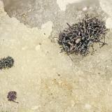 SeleniumConcesiones Green, Distrito Lake, Condado Churchill, Nevada, USAFOV = 2.0 mm (Author: Doug)