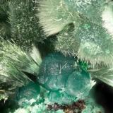 Olivenite, Cornwallite<br />Gold Hill Mine, Gold Hill, Gold Hill District, Tooele County, Utah, USA<br />FOV = 3.5 mm<br /> (Author: Doug)