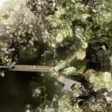 Epidote, Aenigmatite<br />Taratimi Bay (Crater Bay), Mayor Island (Tuhua), New Zealand<br />FOV = 0.9 mm<br /> (Author: Doug)