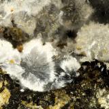 Cowlesite<br />Taratimi Bay (Crater Bay), Mayor Island (Tuhua), New Zealand<br />FOV = 1.2 mm<br /> (Author: Doug)