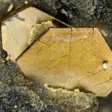 Pyrrhotite<br />Sandon, Slocan Mining Division, Kootenay Region, British Columbia, Canada<br />FOV = 1.1 mm<br /> (Author: Doug)
