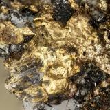 Gold<br />Silbak Premier Mine, Stewart, Skeena Mining Division, British Columbia, Canada<br />FOV = 1.5 mm<br /> (Author: Doug)