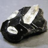 Schorl and Quartz<br />Erongo Mountain, Usakos, Erongo Region, Namibia<br />36mm x 26mm x 23mm<br /> (Author: Heimo Hellwig)