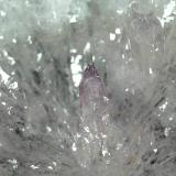 Cuarzo (variedad amatista)<br />Rio Grande do Sul, Brasil<br />12,1 x 11,2 cm.<br /> (Autor: Xavier Bordas)