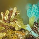 Mimetite, Chrysocolla<br />Bob Montgomery Claim Group, Peloncillo Mountains, Granite Gap, San Simon District, Hidalgo County, New Mexico, USA<br />FOV = 1.6 mm<br /> (Author: Doug)