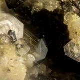 Phlogopite<br />Lemolo Lake, Clearwater, Douglas County, Oregon, USA<br />FOV = 1.0 mm<br /> (Author: Doug)