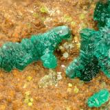 Brochantite<br />Reward Mine, Reward, Russ District, Inyo County, California, USA<br />FOV = 1.5 mm<br /> (Author: Doug)