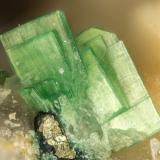 Torbernite<br />Tyrone Mine, Tyrone Area, Burro Mountains District, Grant County, New Mexico, USA<br />FOV = 1.3 mm<br /> (Author: Doug)