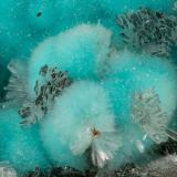 Aurichalcite, Hemimorphite<br />Bob Montgomery Claim Group, Peloncillo Mountains, Granite Gap, San Simon District, Hidalgo County, New Mexico, USA<br />FOV = 4.0 mm<br /> (Author: Doug)