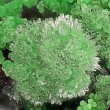 Conichalcite, Hemimorphite<br />Bob Montgomery Claim Group, Peloncillo Mountains, Granite Gap, San Simon District, Hidalgo County, New Mexico, USA<br />FOV = 4.0 mm<br /> (Author: Doug)