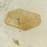 Chlorargyrite<br />Silver Coin Mine, Valmy, Iron Point District, Humboldt County, Nevada, USA<br />FOV = 0.9 mm<br /> (Author: Doug)