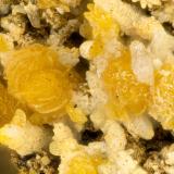 Descloizite, Vanadinite<br />Chalk Mountain Mine, Chalk Mountain, Middlegate, Chalk Mountain District, Churchill County, Nevada, USA<br />FOV = 1.3 mm<br /> (Author: Doug)