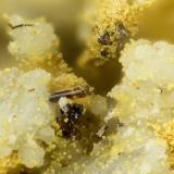 Rutile, ScoroditeMina Gold Hill, Gold Hill, Distrito Gold Hill, Condado Tooele, Utah, USAFOV = 0.8 mm (Author: Doug)