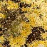 Cacoxenite<br />Willard Mine, Willard District, Pershing County, Nevada, USA<br />FOV = 1.6 mm<br /> (Author: Doug)