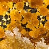 Cacoxenite<br />Willard Mine, Willard District, Pershing County, Nevada, USA<br />FOV = 1.5 mm<br /> (Author: Doug)