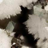 Hemimorphite, Adamite<br />Simon Mine, Bell District, Mineral County, Nevada, USA<br />FOV = 2.8 mm<br /> (Author: Doug)