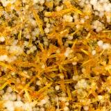 Mimetite Wickenburgite<br />Evening Star Mine, Tiger Wash, Belmont Mountain, Tonopah, Osborn District, Maricopa County, Arizona, USA<br />3.5 mm<br /> (Author: Doug)