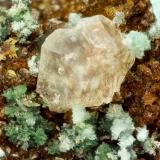VarisciteSilver Coin Mine, Valmy, Iron Point District, Humboldt County, Nevada, USAFOV = 1.6 mm (Author: Doug)