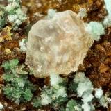 Variscite<br />Silver Coin Mine, Valmy, Iron Point District, Humboldt County, Nevada, USA<br />FOV = 1.6 mm<br /> (Author: Doug)