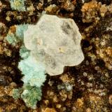 Variscite<br />Silver Coin Mine, Valmy, Iron Point District, Humboldt County, Nevada, USA<br />FOV = 1.5 mm<br /> (Author: Doug)