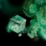 Fluorite<br />Silver Coin Mine, Valmy, Iron Point District, Humboldt County, Nevada, USA<br />FOV = 1.1 mm<br /> (Author: Doug)