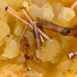 Vanadinite<br />Shelby Mine, White Hills, Cerbat Mountains, Gold Basin District, Mohave County, Arizona, USA<br />FOV = 3.2 mm<br /> (Author: Doug)