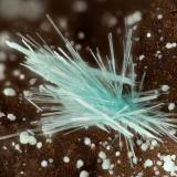 Aurichalcite Fraipontite<br />War Eagle Mine, Upper Noonday Camp, Nopah Range, Inyo County, California, USA<br />FOV = 3.2 mm<br /> (Author: Doug)