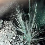 Aurichalcite, Fraipontite<br />War Eagle Mine, Upper Noonday Camp, Nopah Range, Inyo County, California, USA<br />FOV = 3.5 mm<br /> (Author: Doug)