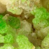 Conichalcite<br />Mohawk Mine, Mohawk Hill, Clark Mountains, Clark Mountain District (Clark District), San Bernardino County, California, USA<br />FOV = 1.3 mm<br /> (Author: Doug)