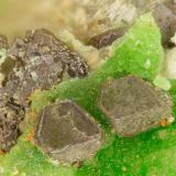 Chlorargyrite Conichalcite<br />Mohawk Mine, Mohawk Hill, Clark Mountains, Clark Mountain District (Clark District), San Bernardino County, California, USA<br />FOV = 1.5 mm<br /> (Author: Doug)