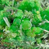 Conichalcite<br />Hilarion Mine, Hilarion area, Kamariza Mines, Agios Konstantinos, Lavrion Mining District, Attikí (Attica) Prefecture, Greece<br />FOV = 4.0 mm<br /> (Author: Doug)