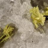 Ferrimolybdite<br />Lake County, Colorado, USA<br />FOV = 2.7 mm<br /> (Author: Doug)