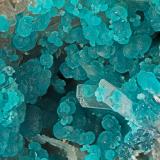 Rosasite, Hemimorphite<br />Bob Montgomery Claim Group, Peloncillo Mountains, Granite Gap, San Simon District, Hidalgo County, New Mexico, USA<br />FOV = 4.0 mm<br /> (Author: Doug)