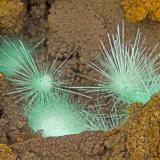 Agardite-(Y)<br />Big 3 Mine, Railroad Springs District, Esmeralda County, Nevada, USA<br />FOV = 4.0 mm<br /> (Author: Doug)