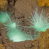 Agardite-(Y)Mina Big 3, Distrito Railroad Springs, Condado Esmeralda, Nevada, USAFOV = 4.0 mm (Author: Doug)