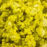 Gartrellite<br />Gold Hill Mine, Gold Hill, Gold Hill District, Tooele County, Utah, USA<br />FOV = 2.0 mm<br /> (Author: Doug)
