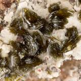 MottramiteFord Mine, Tucson Wash, Mammoth, Mammoth District, Pinal County, Arizona, USAFOV = 3.4 mm (Author: Doug)