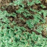 Malachite<br />Ridenaur Mine, Prospect Canyon District, Coconino County, Arizona, USA<br />FOV = 3.6 mm<br /> (Author: Doug)