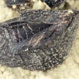 SideriteBig Cliff, localidades del río Clackamas, Condado Clackamas, Oregon, USAFOV = 3.4 mm (Author: Doug)