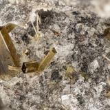 Fluoro-edeniteLemolo Lake Quarry, Douglas County, Oregon, USAFOV = 2.0 mm (Author: Doug)