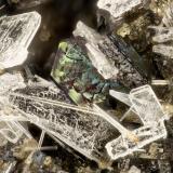 Ilmenite<br />Lemolo Lake Quarry, Douglas County, Oregon, USA<br />FOV = 2.8 mm<br /> (Author: Doug)