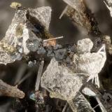 Hedenbergite, Albite, Fluorapatite, Ilmenite<br />Lemolo Lake Quarry, Douglas County, Oregon, USA<br />FOV = 2.7 mm<br /> (Author: Doug)