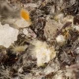Aegirine<br />Lemolo Lake Quarry, Douglas County, Oregon, USA<br />FOV = 3.3 mm<br /> (Author: Doug)