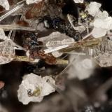 Hedenbergite<br />Lemolo Lake Quarry, Douglas County, Oregon, USA<br />FOV = 3.1 mm<br /> (Author: Doug)