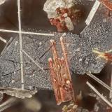 Ilmenite<br />Lemolo Lake Quarry, Douglas County, Oregon, USA<br />FOV = 1.6 mm<br /> (Author: Doug)