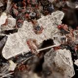 Albite<br />Lemolo Lake Quarry, Douglas County, Oregon, USA<br />FOV = 3.2 mm<br /> (Author: Doug)