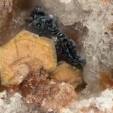 Phlogopite, HematiteSummit Rock, Condado Klamath, Oregon, USAFOV = 1.3 mm (Author: Doug)