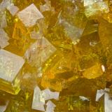 Pharmacosiderite<br />Wheal Gorland, Saint Day, Camborne - Redruth - Saint Day District, Cornwall, England / United Kingdom<br />FOV = 2.0 mm<br /> (Author: Doug)